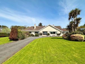 Photo 12- click for photo gallery